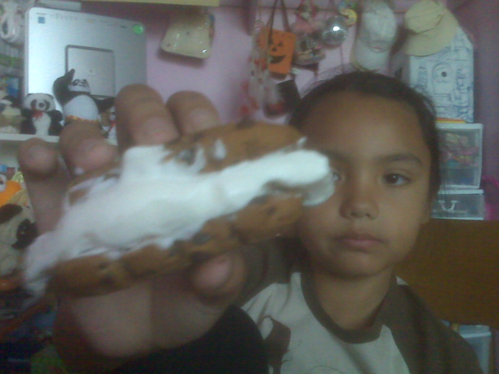 icecreamsandwich1.jpg